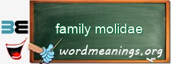 WordMeaning blackboard for family molidae